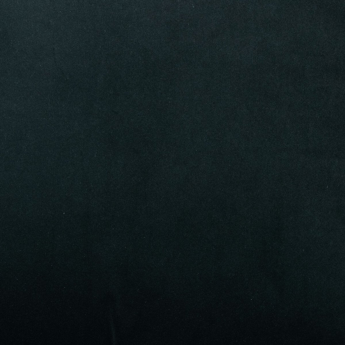 Ambra Accent Chair - Euro Living Furniture