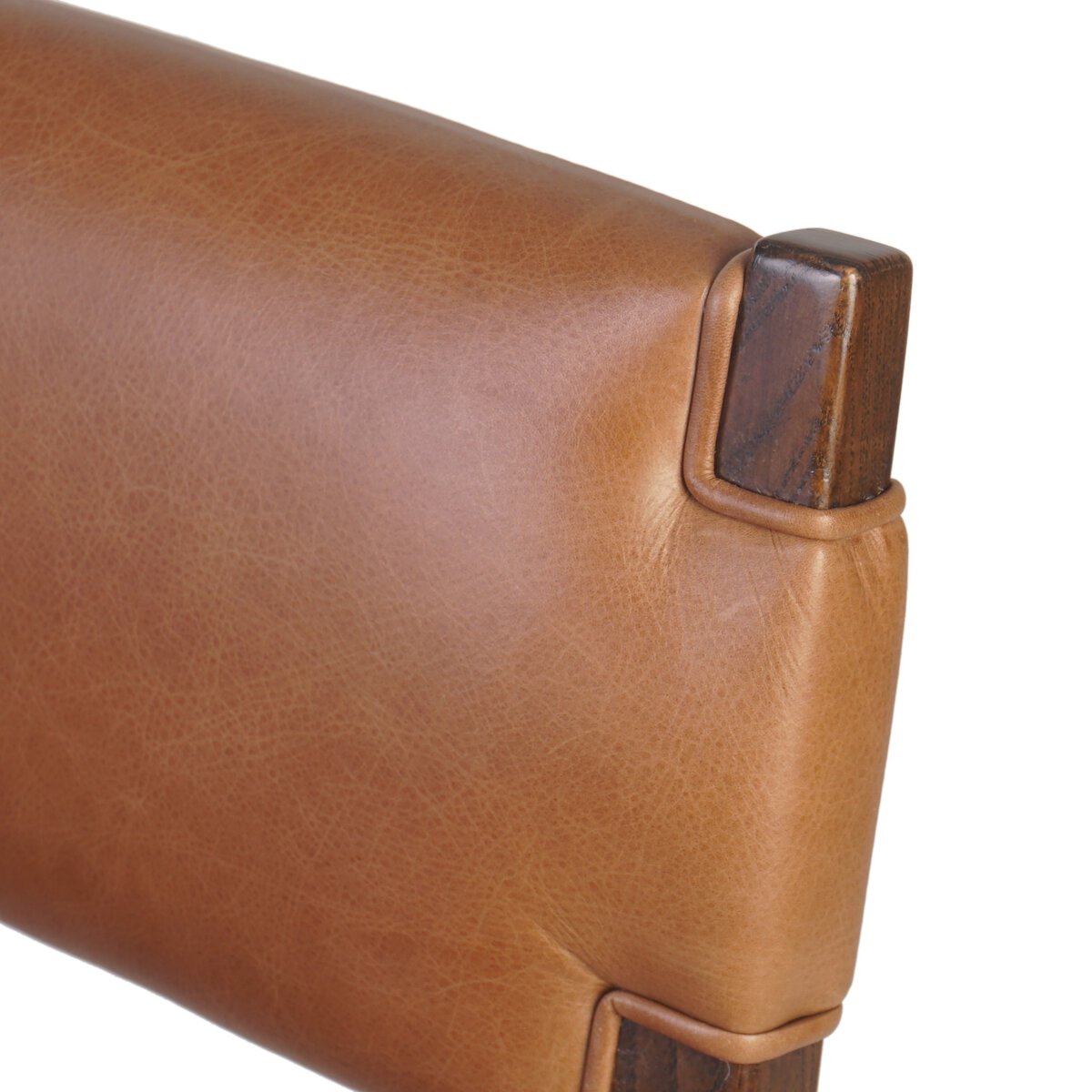 Tamari Dining Chair - Euro Living Furniture