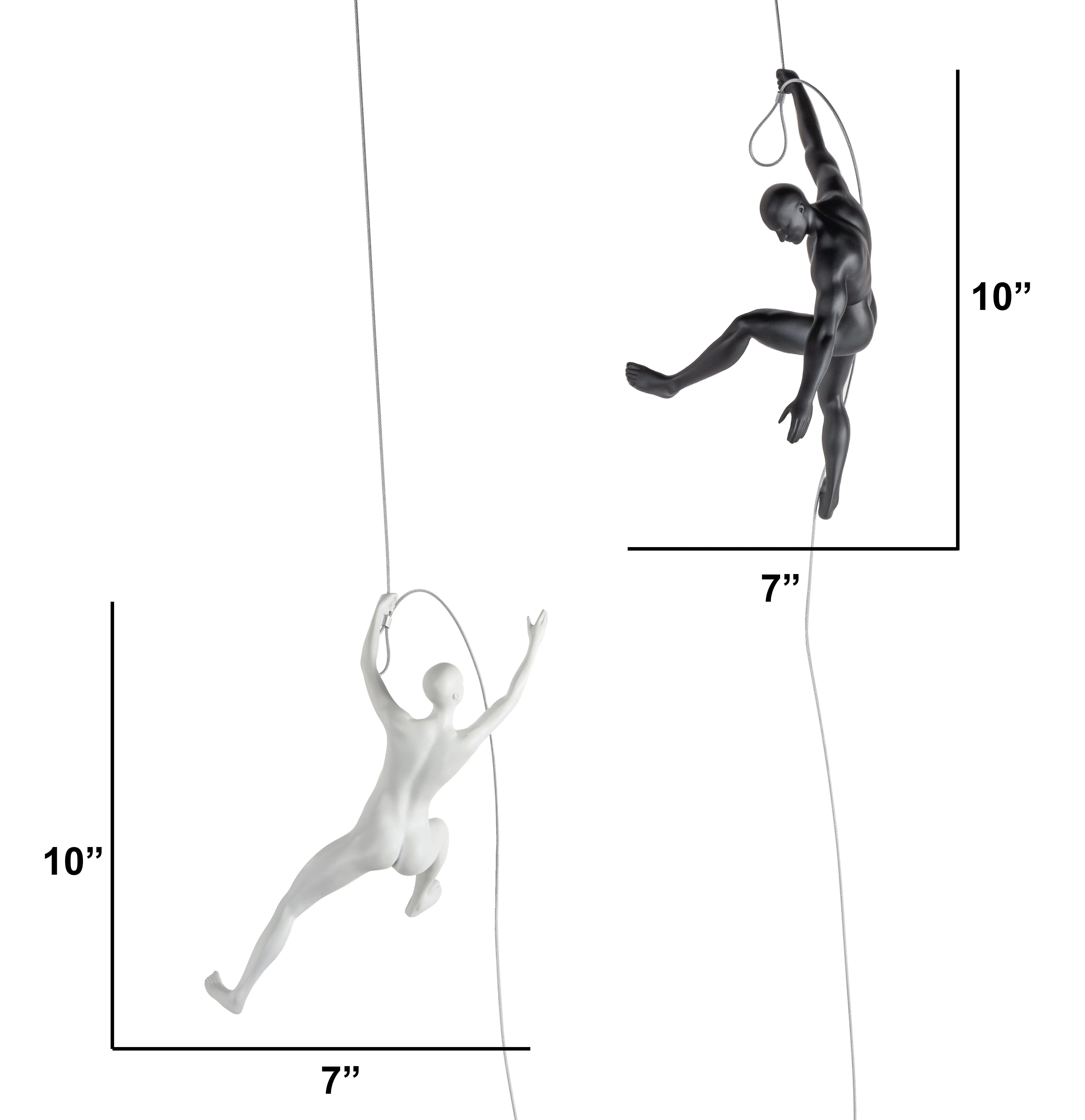 CLIMBING WALL DECOR COLLECTION - Euro Living Furniture