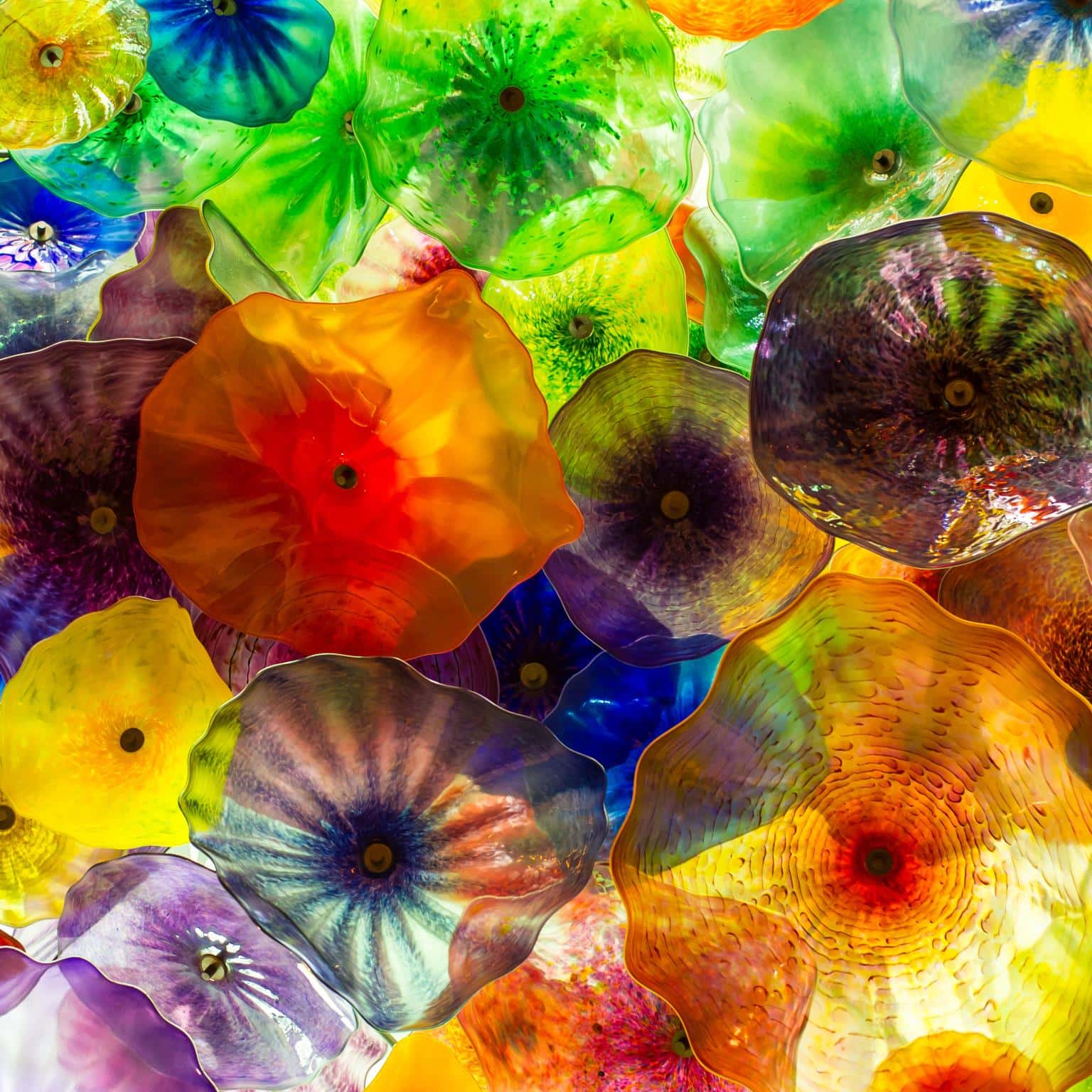 Vibrant Free Life - Euro Living Furniture