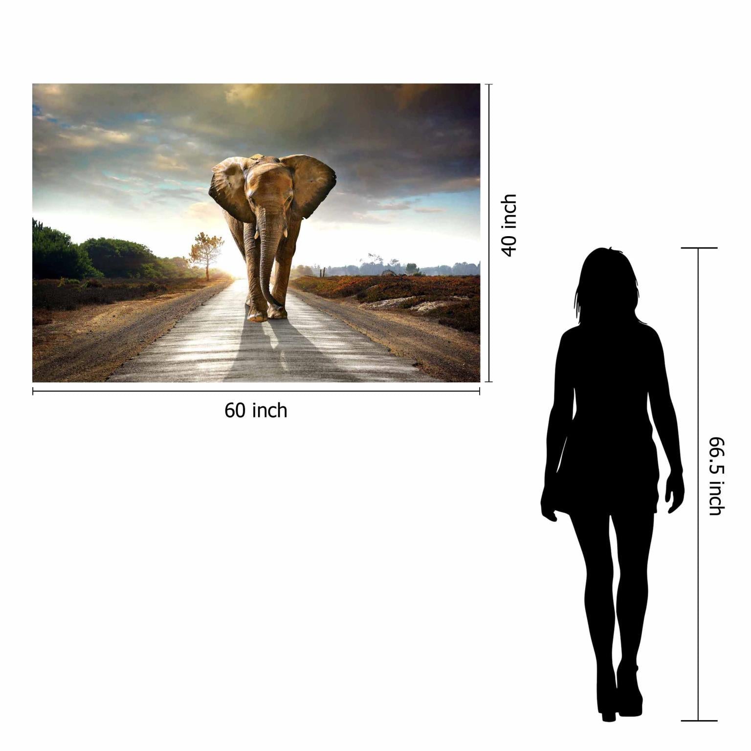 Elephant 40x60 Tempered Glass