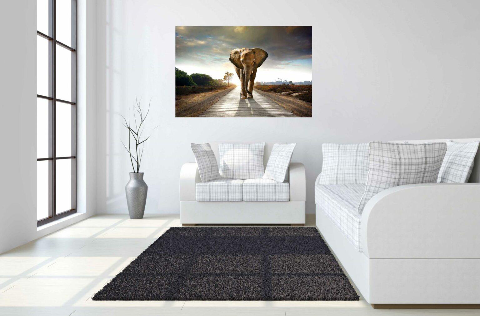 Elephant 40x60 Tempered Glass