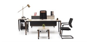 ZOOM DESK COLLECTION - Euro Living Furniture