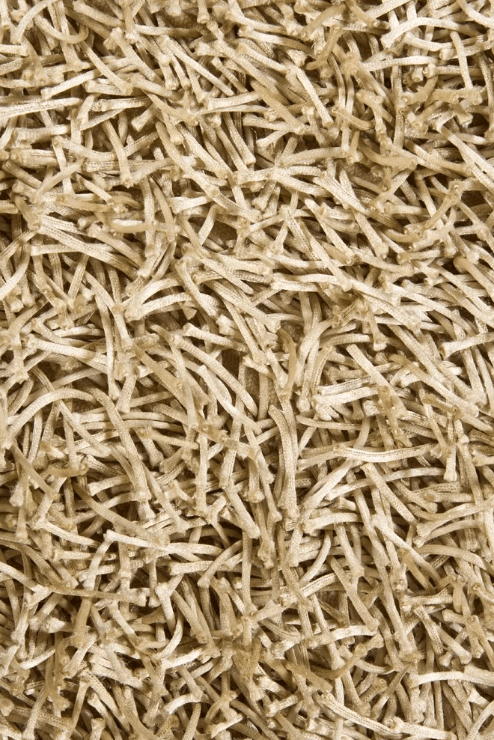 Zulma Shag Rug Champagne 8 x 10 - Euro Living Furniture