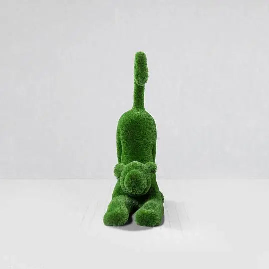 Grass Baby Lion Topiary - Euro Living Furniture