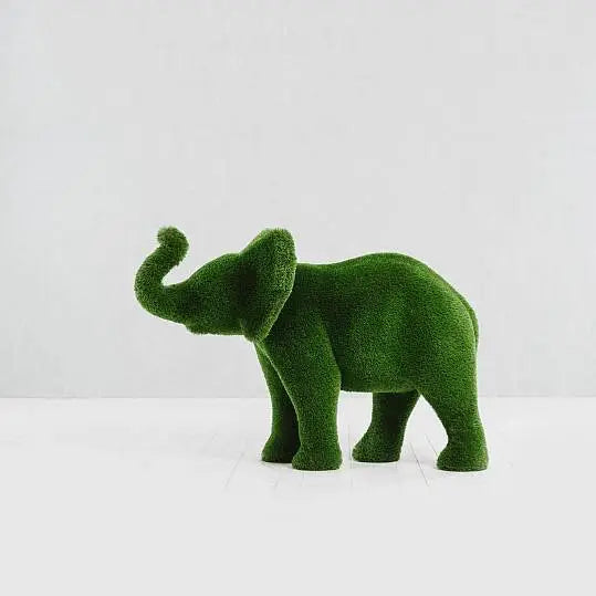 Elephant Grass Topiary Collection - Euro Living Furniture