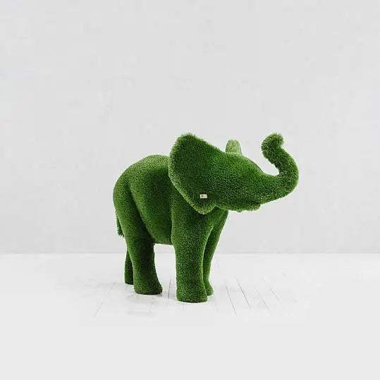 Elephant Grass Topiary Collection - Euro Living Furniture