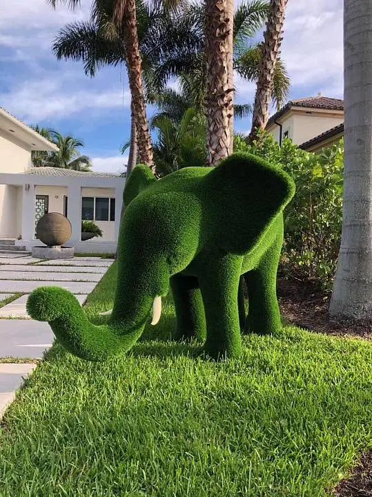 Elephant Grass Topiary Collection - Euro Living Furniture