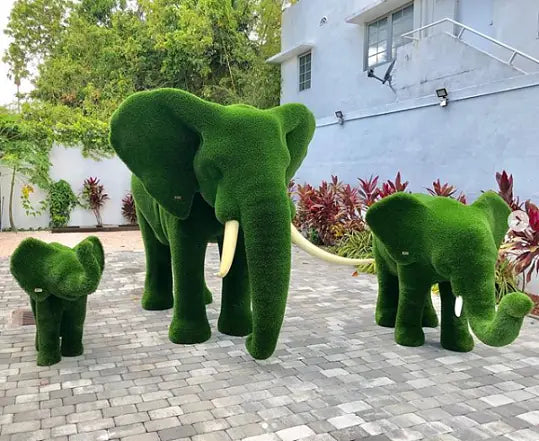 Elephant Grass Topiary Collection - Euro Living Furniture