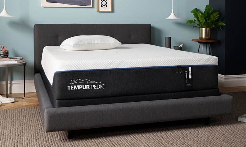 TEMPUR-ProAdapt™ - Euro Living Furniture