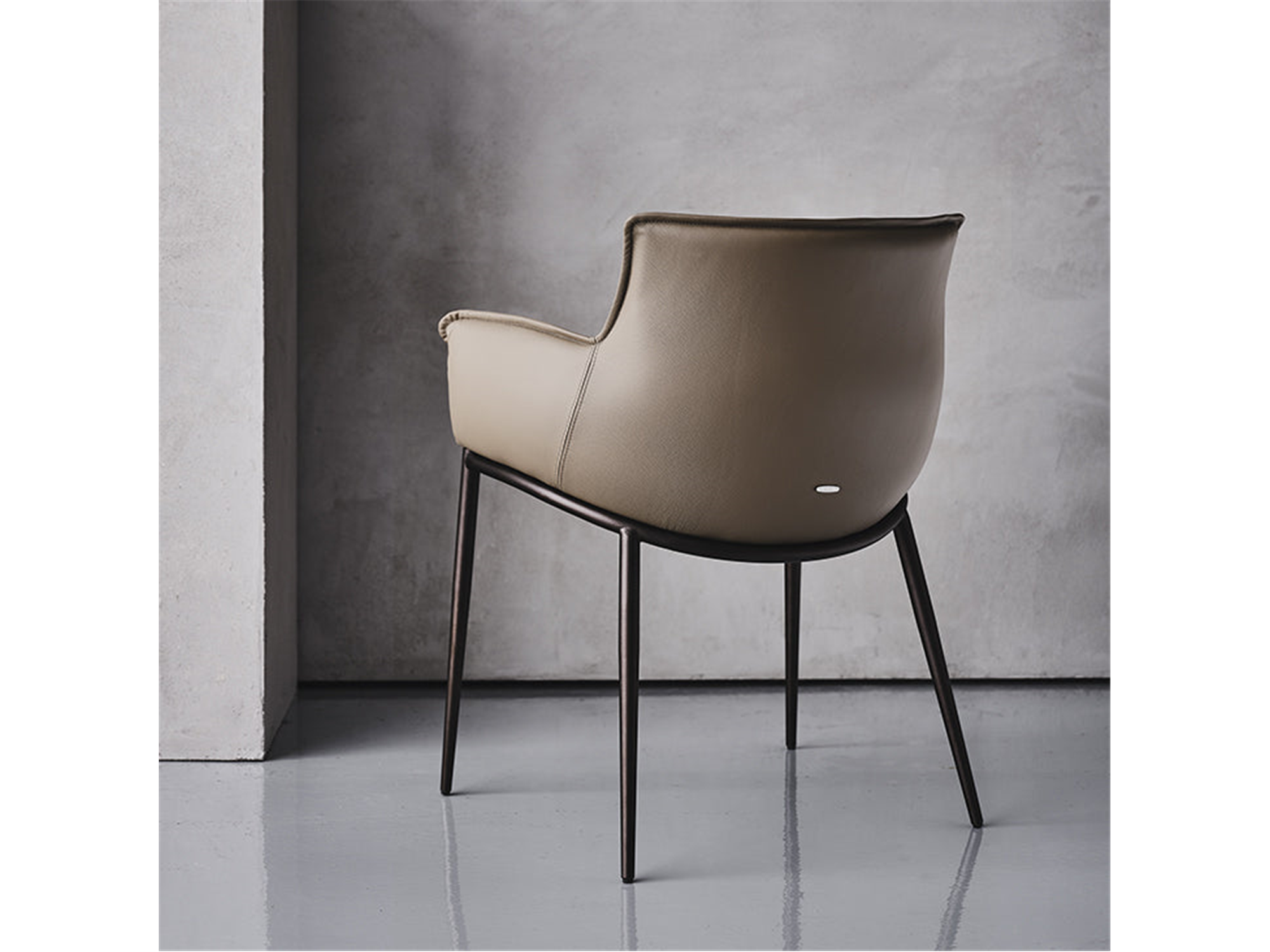 Rhonda Dining chair - Euro Living Furniture