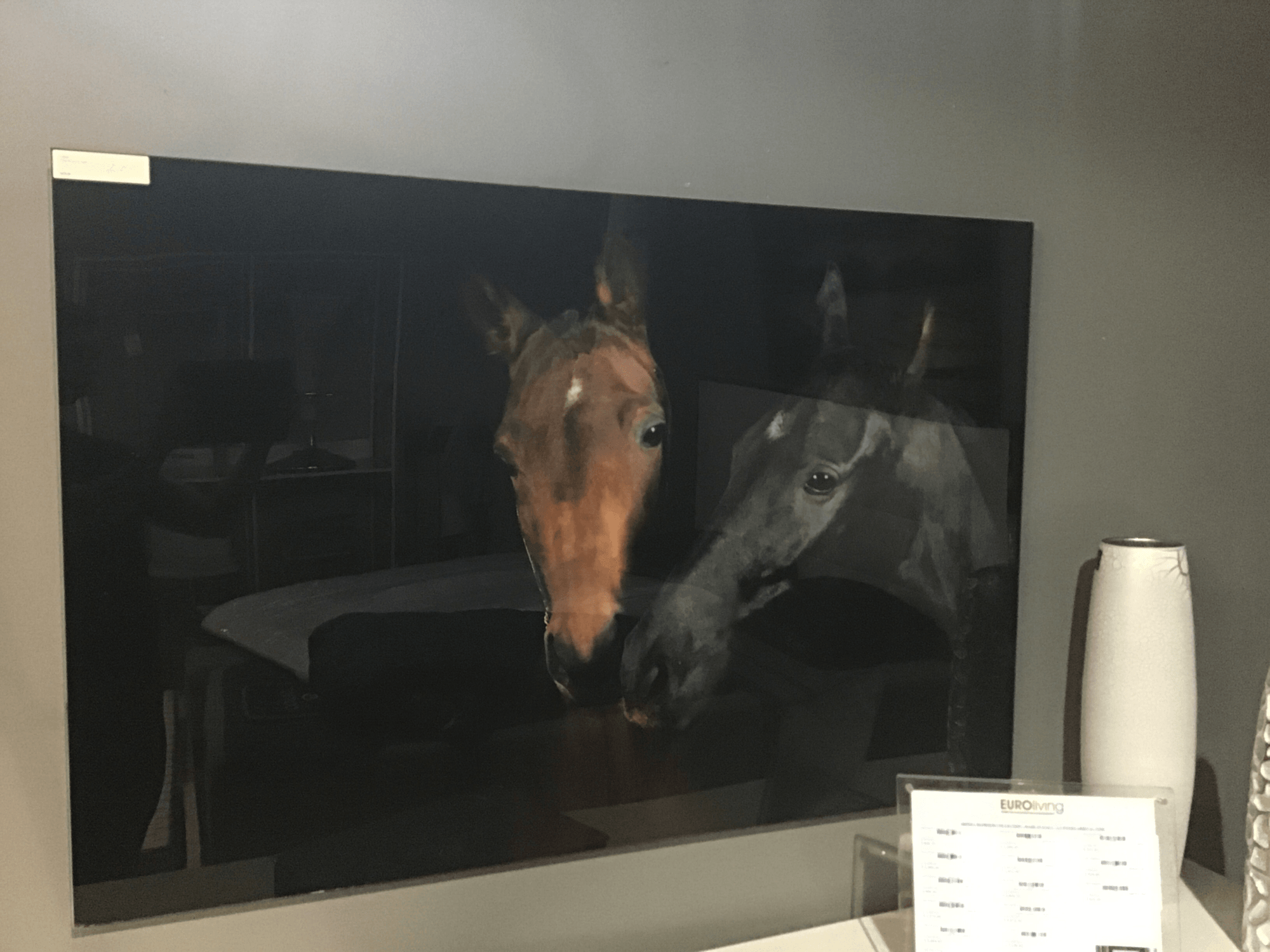 Acrylic horses - Euro Living Furniture