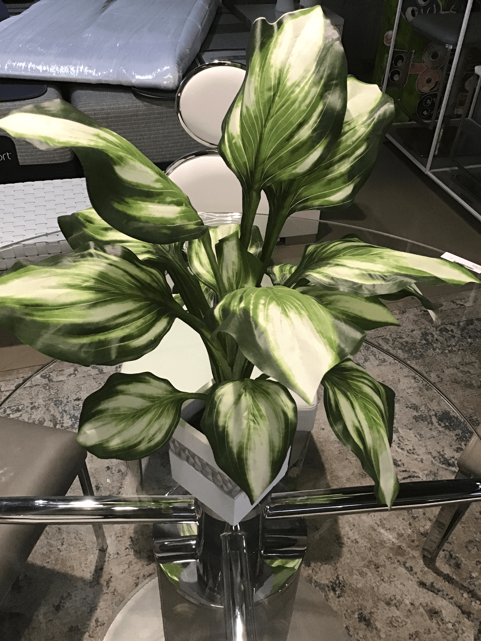 Table plant w/ square base - Euro Living Furniture