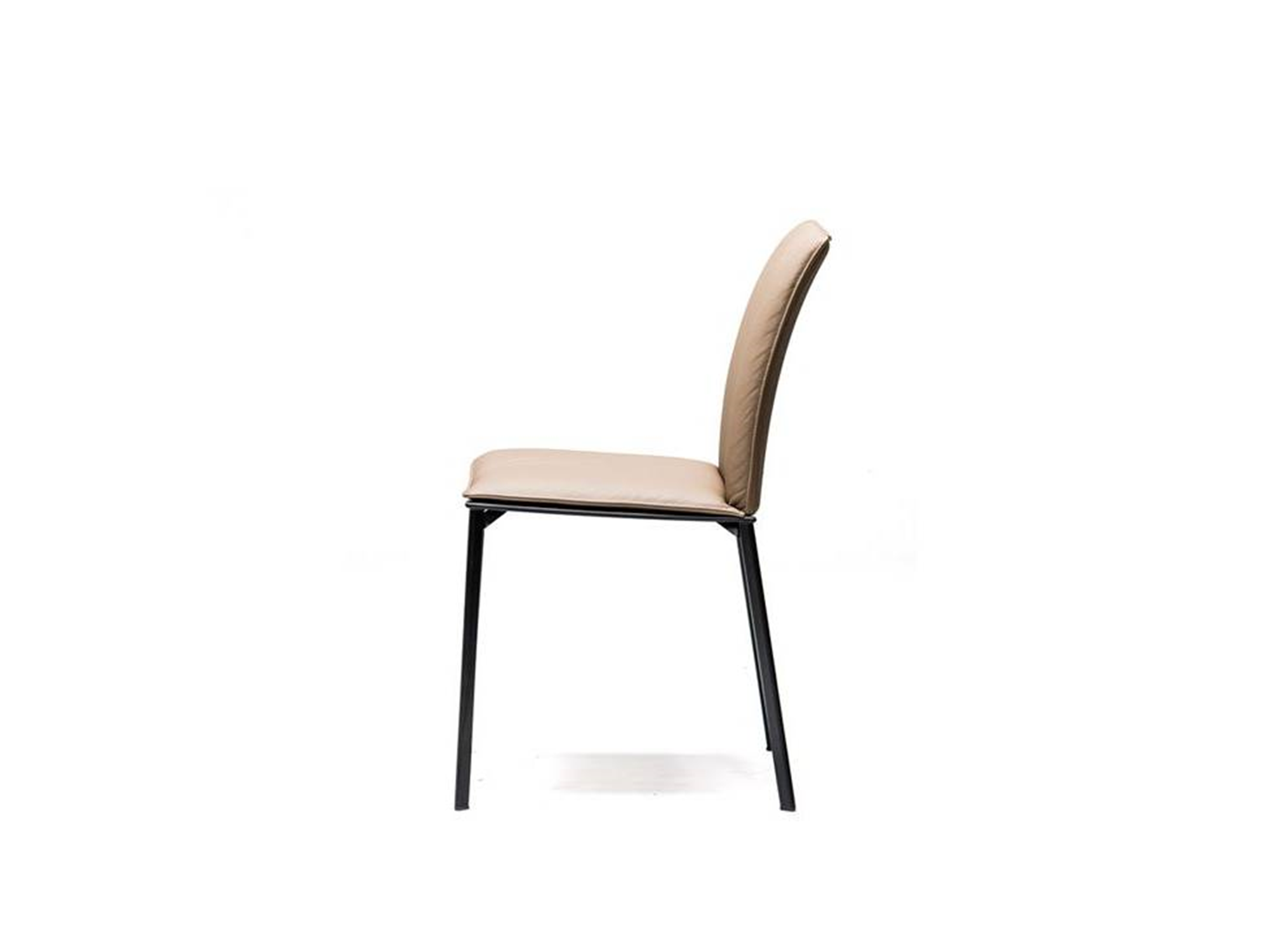 Rita Dining Chair - Euro Living Furniture