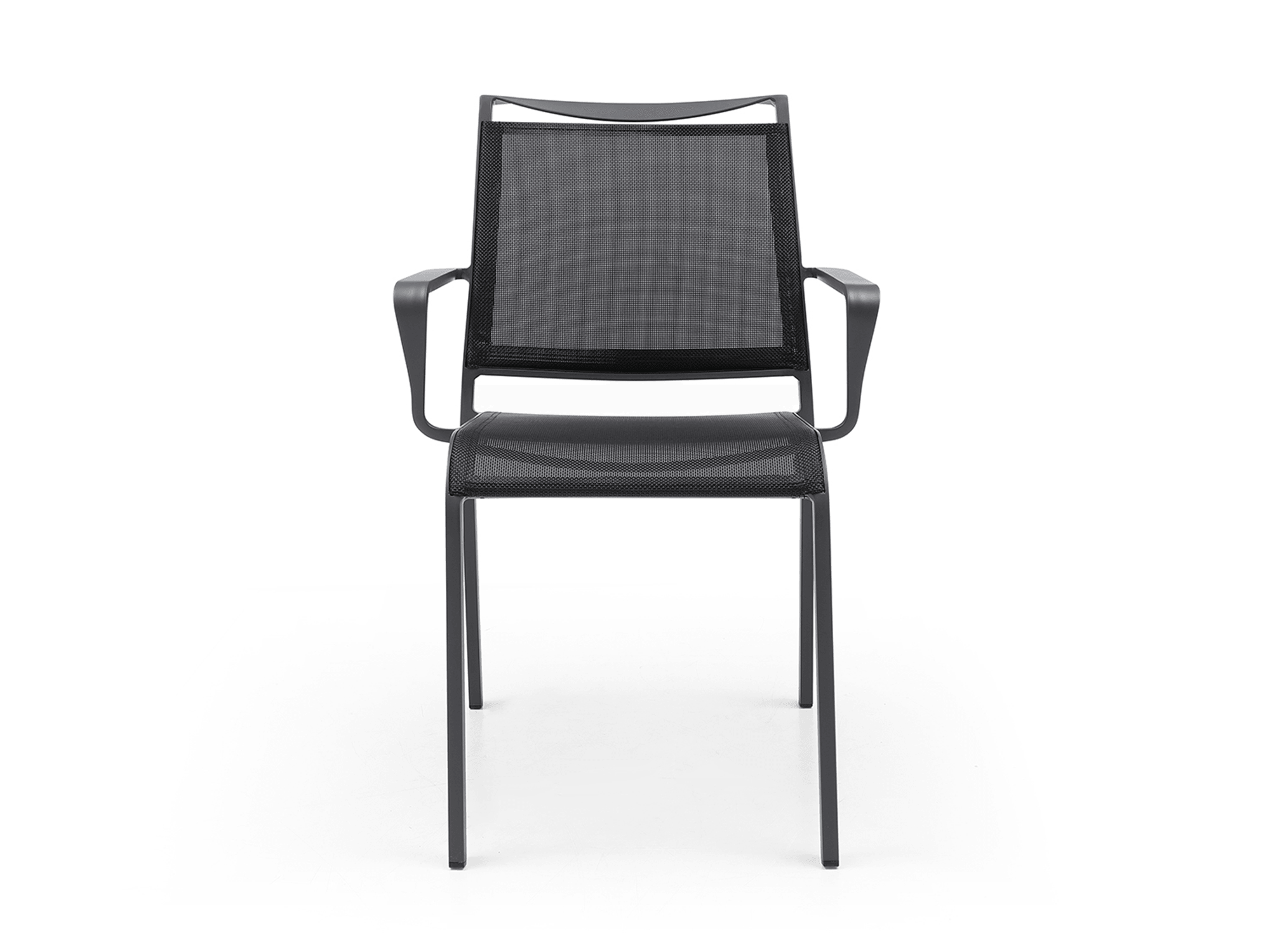 Chelle outdoor Dining Armchair - Euro Living Furniture