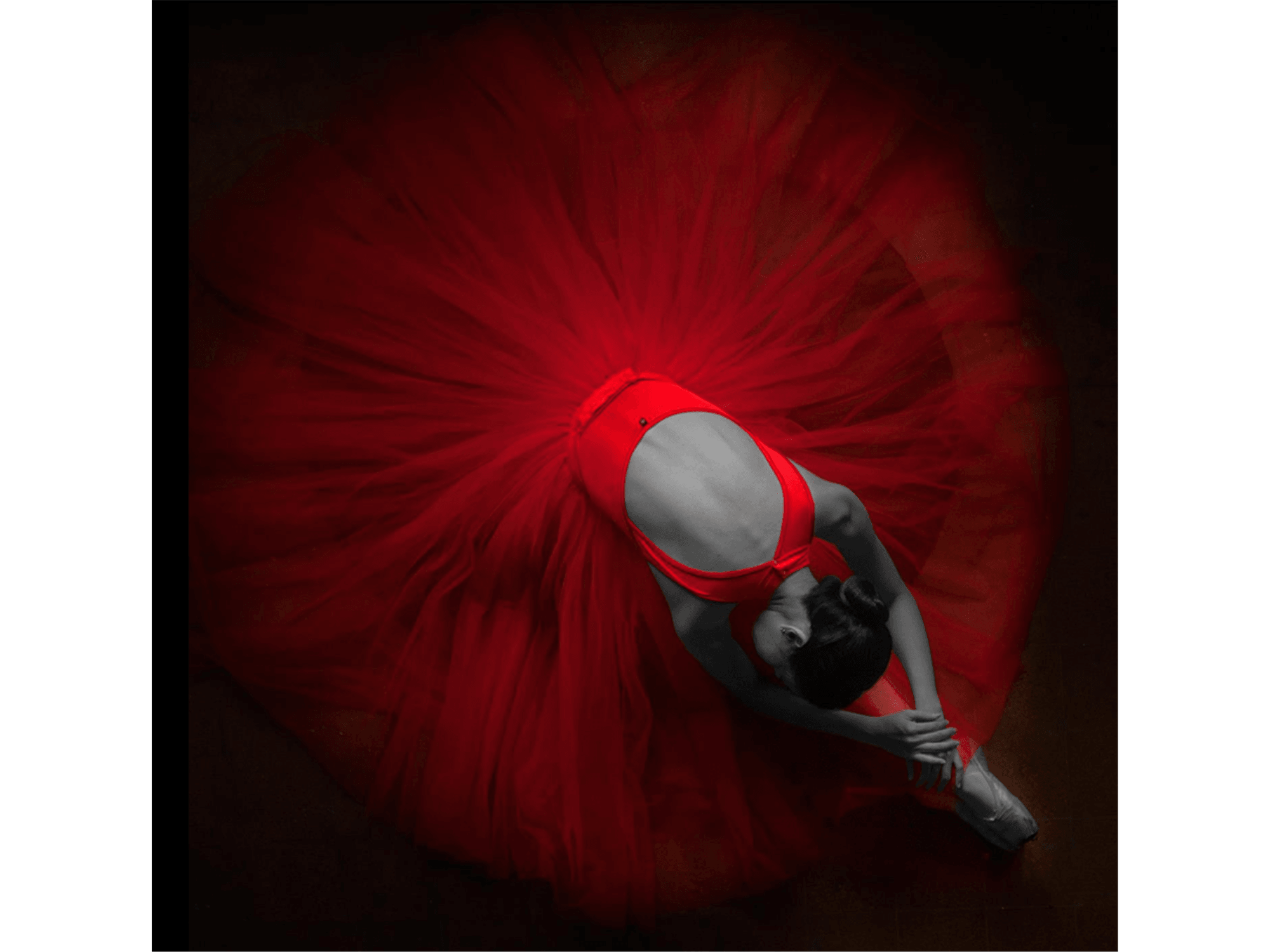 Ballerina Painting - Euro Living Furniture