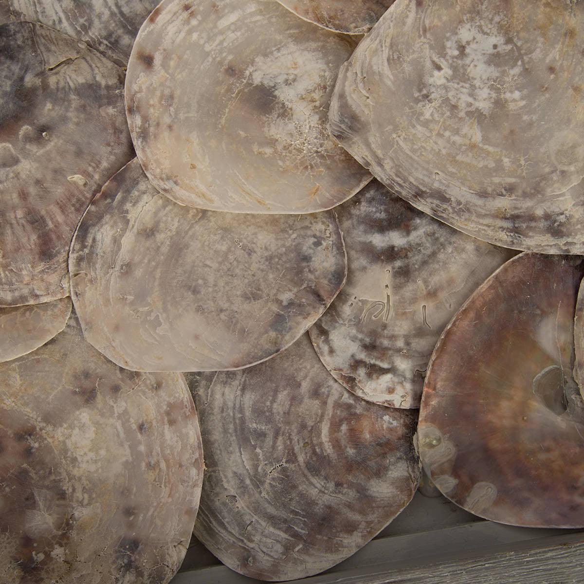 Shell Console Table w/Glass - Euro Living Furniture