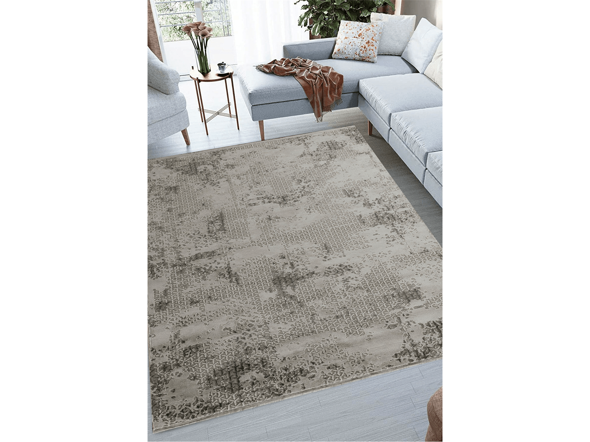 Haydn Rug - Euro Living Furniture
