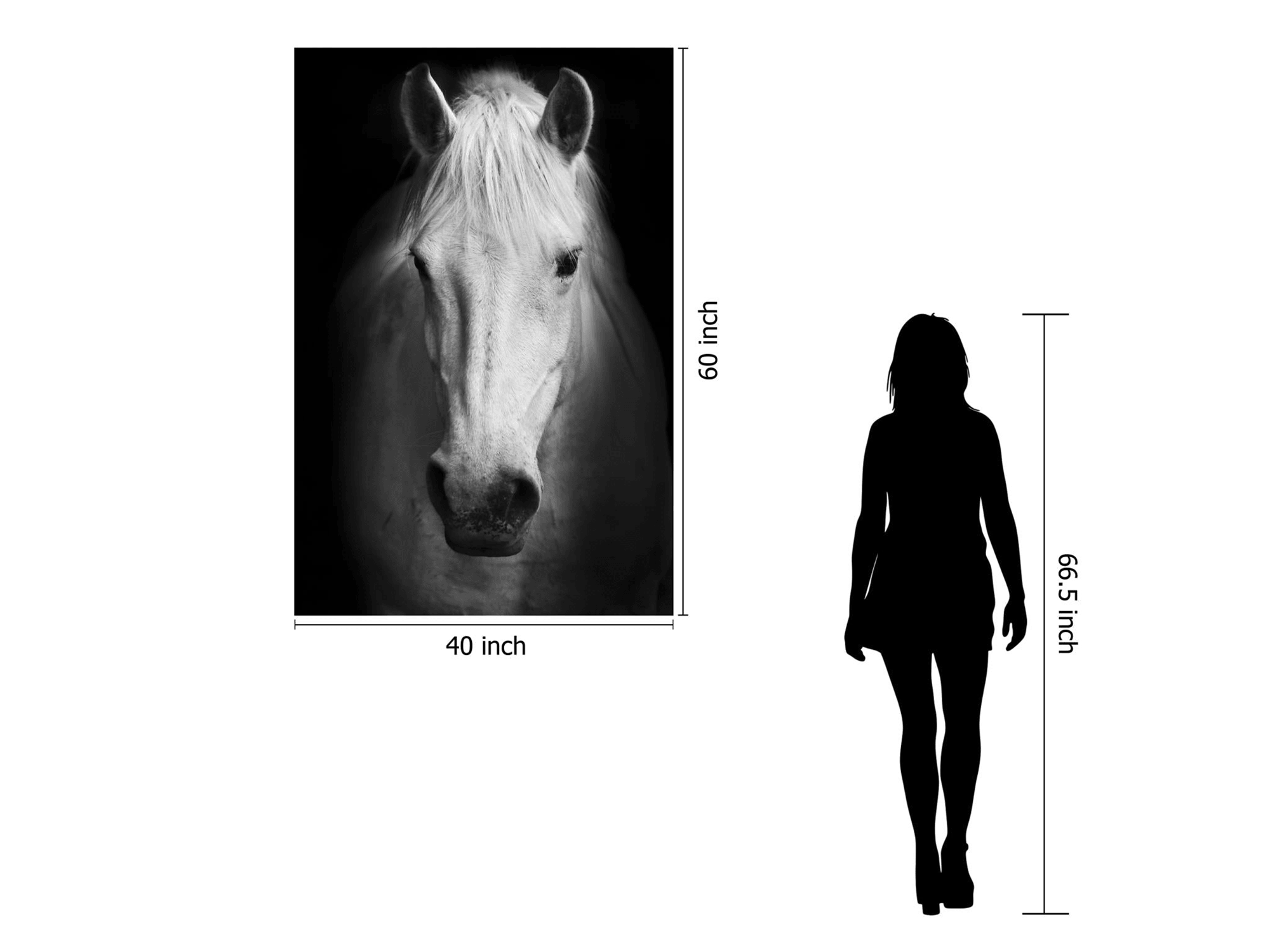 White Horse - Euro Living Furniture