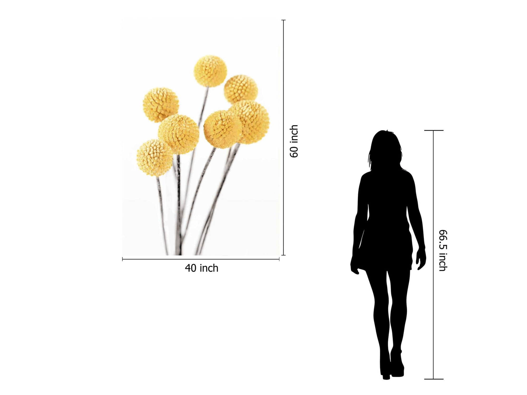 Yellow Bulbs - Euro Living Furniture