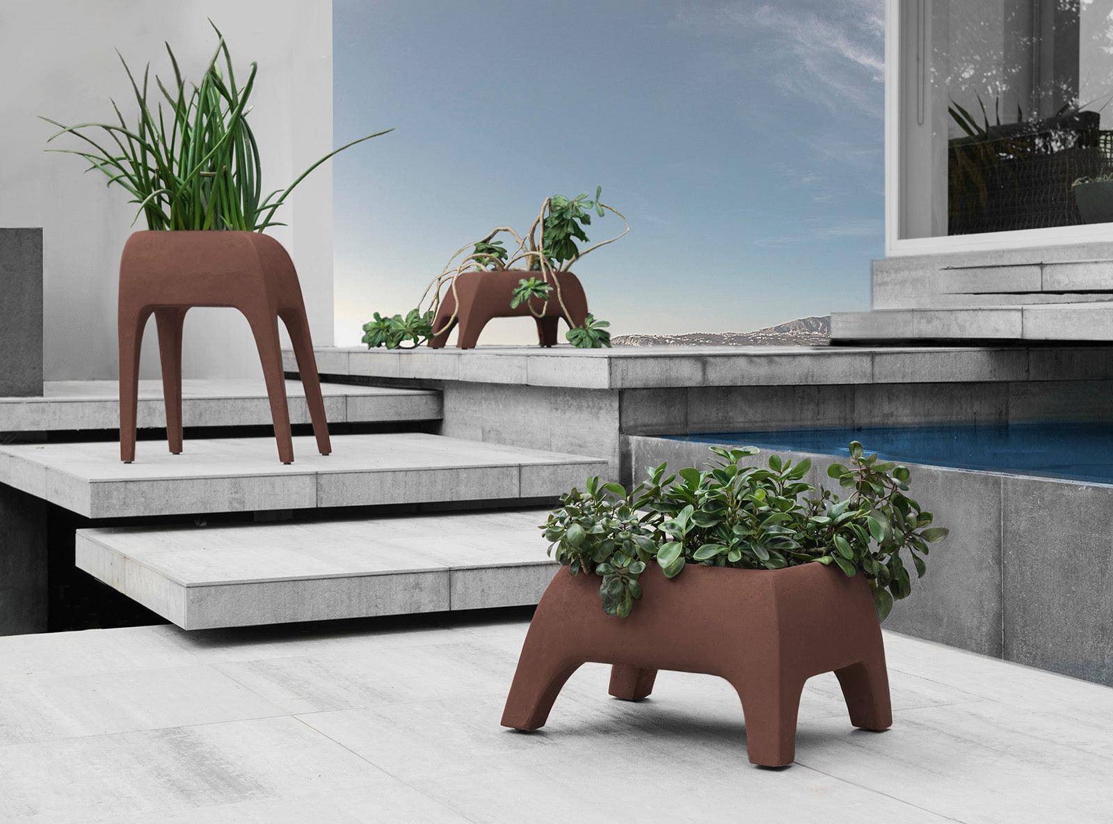 SAFARI PLANTERS, SHORT - Euro Living Furniture