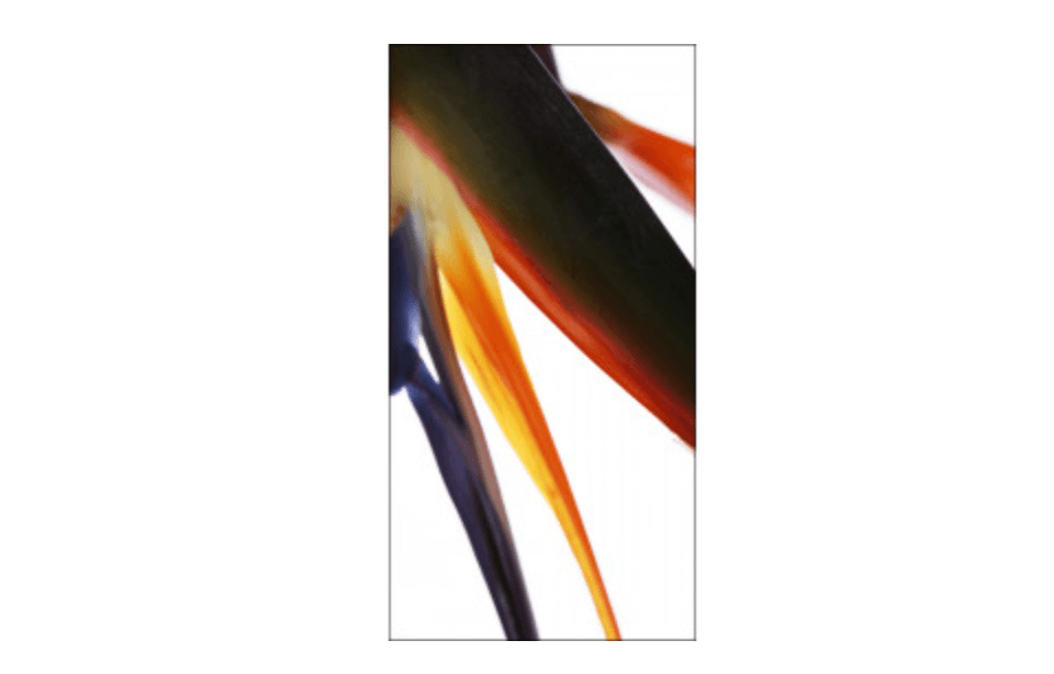 Laura I Art 36" x 72" - Euro Living Furniture