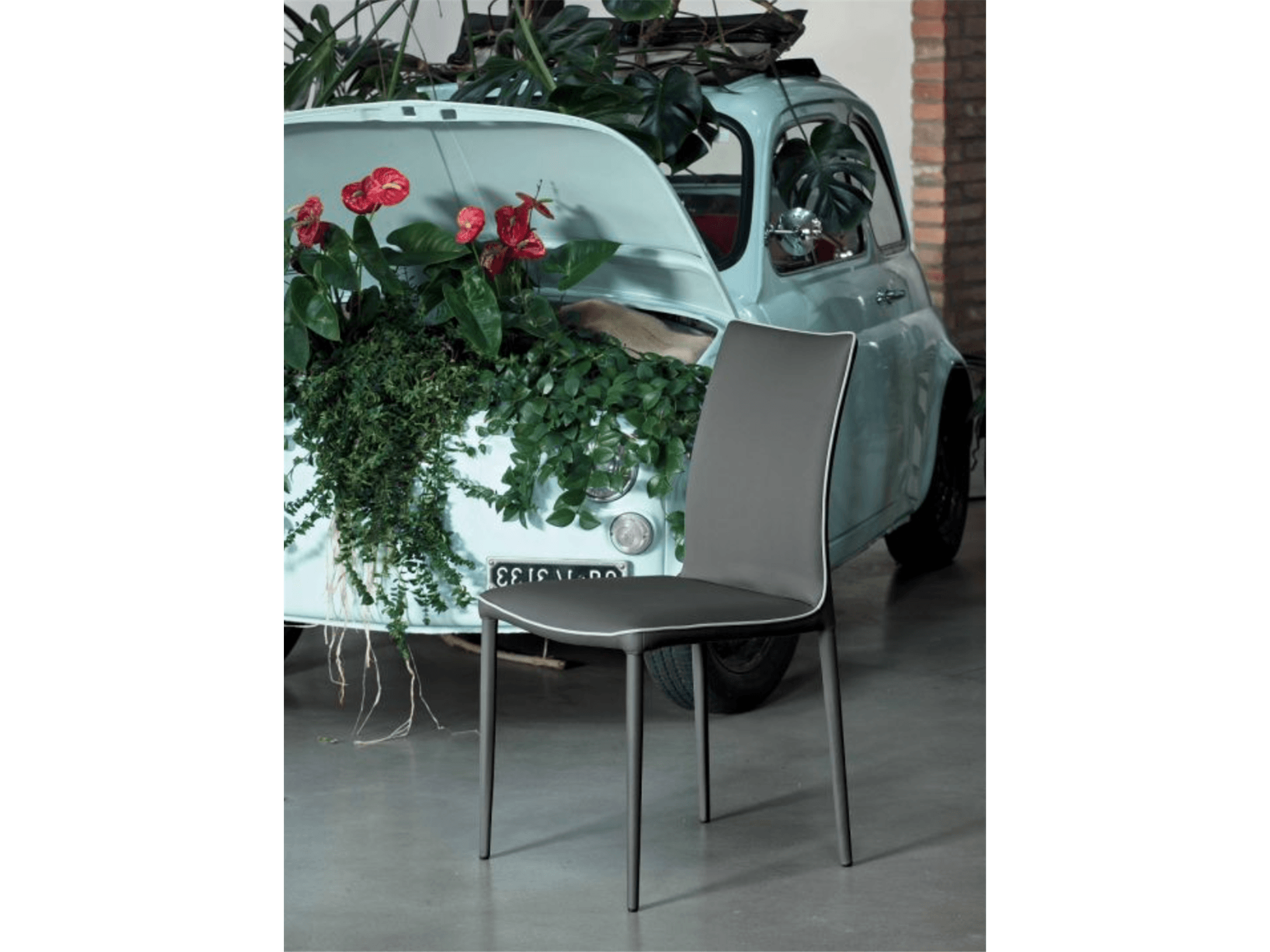 Nata Dining Chair - Euro Living Furniture