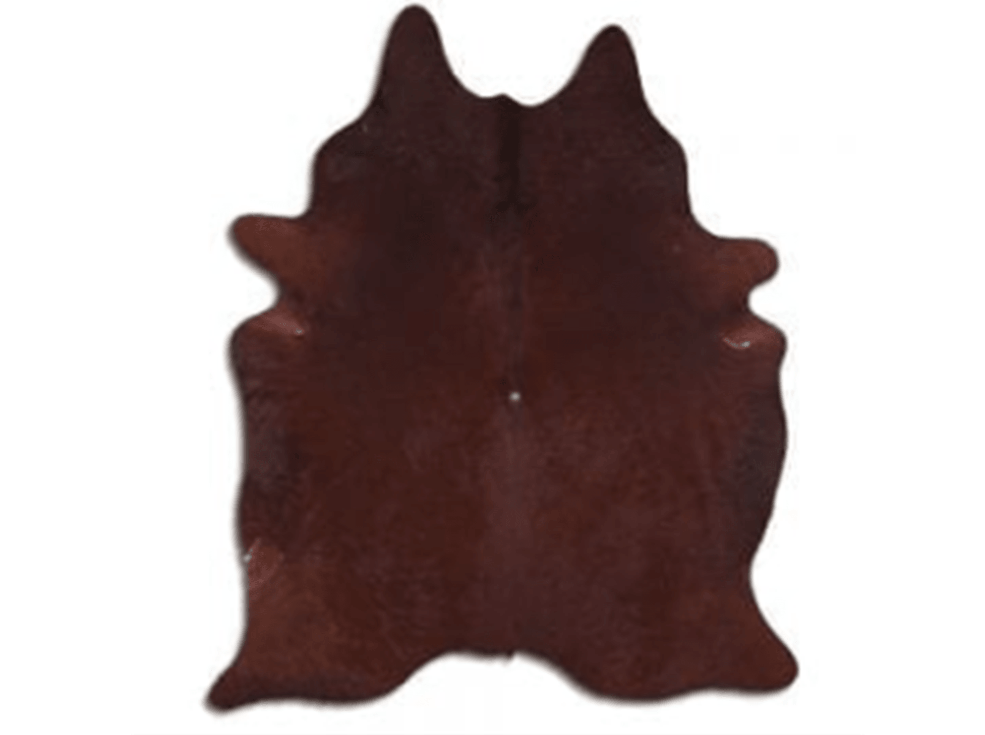 Nat Cowhide XL Dark Brown - Euro Living Furniture