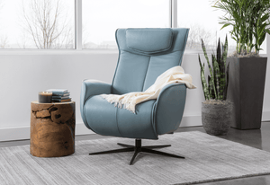 Axel Power Recliner - Euro Living Furniture