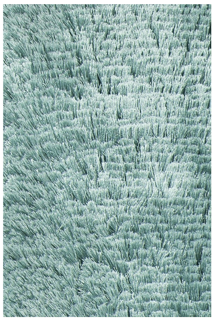 Grizzly Shag - Color - Euro Living Furniture