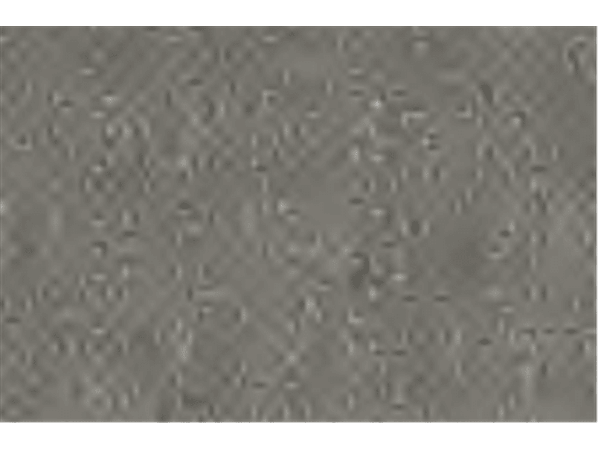 Noble Chair - Euro Living Furniture