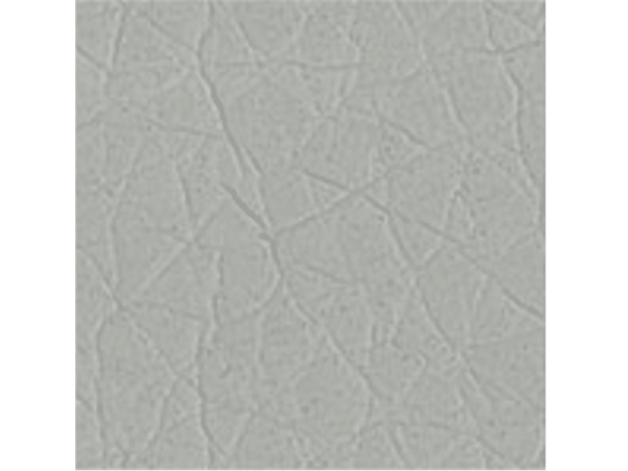 Nata Dining Chair - Euro Living Furniture