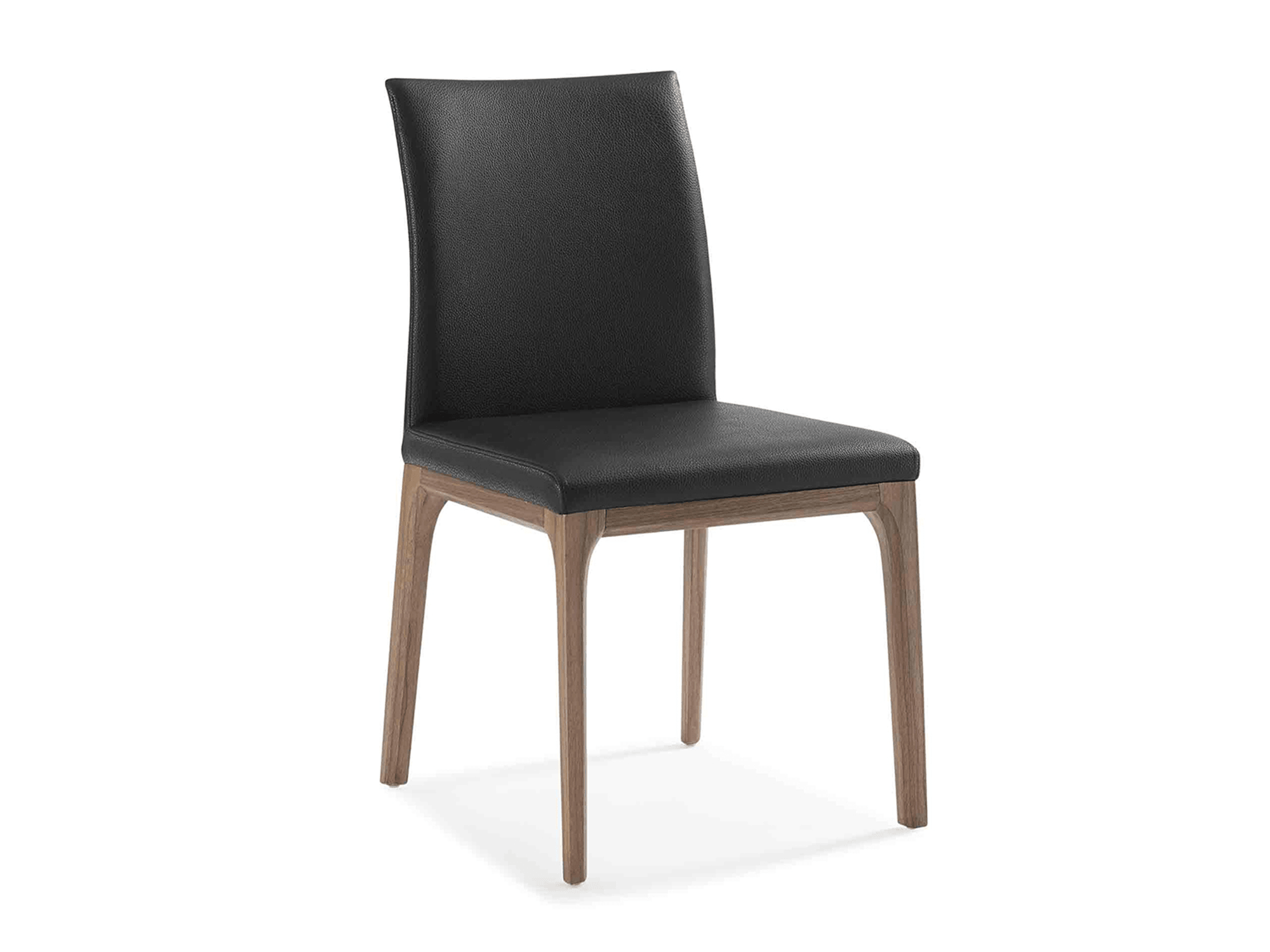 Ritana Dining Chair - Euro Living Furniture