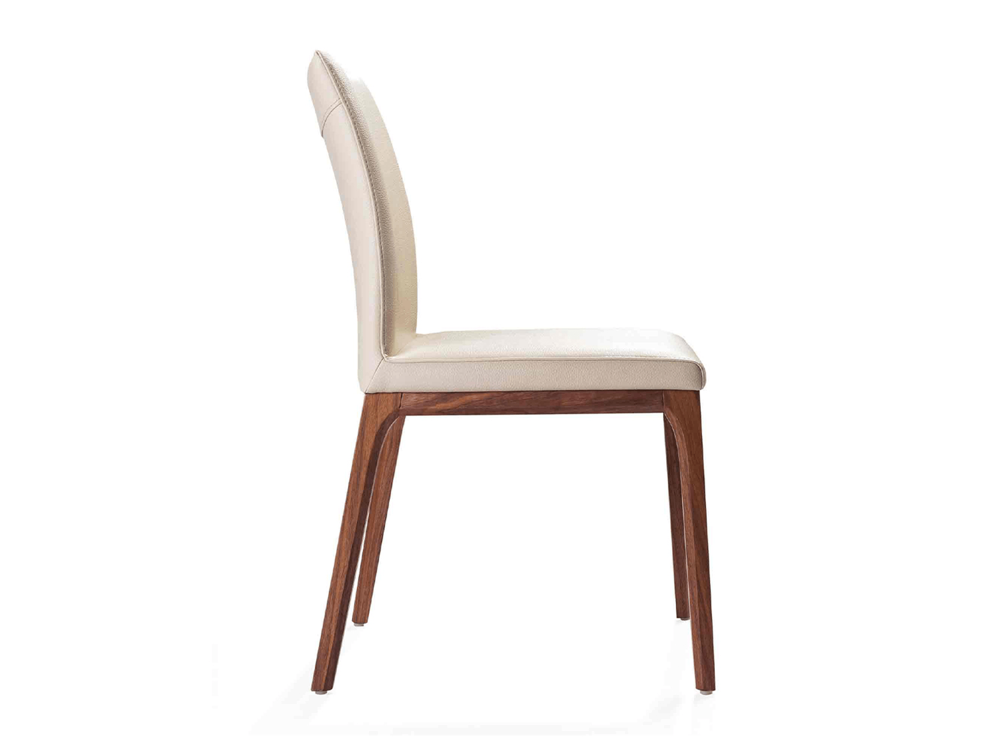 Ritana Dining Chair - Euro Living Furniture