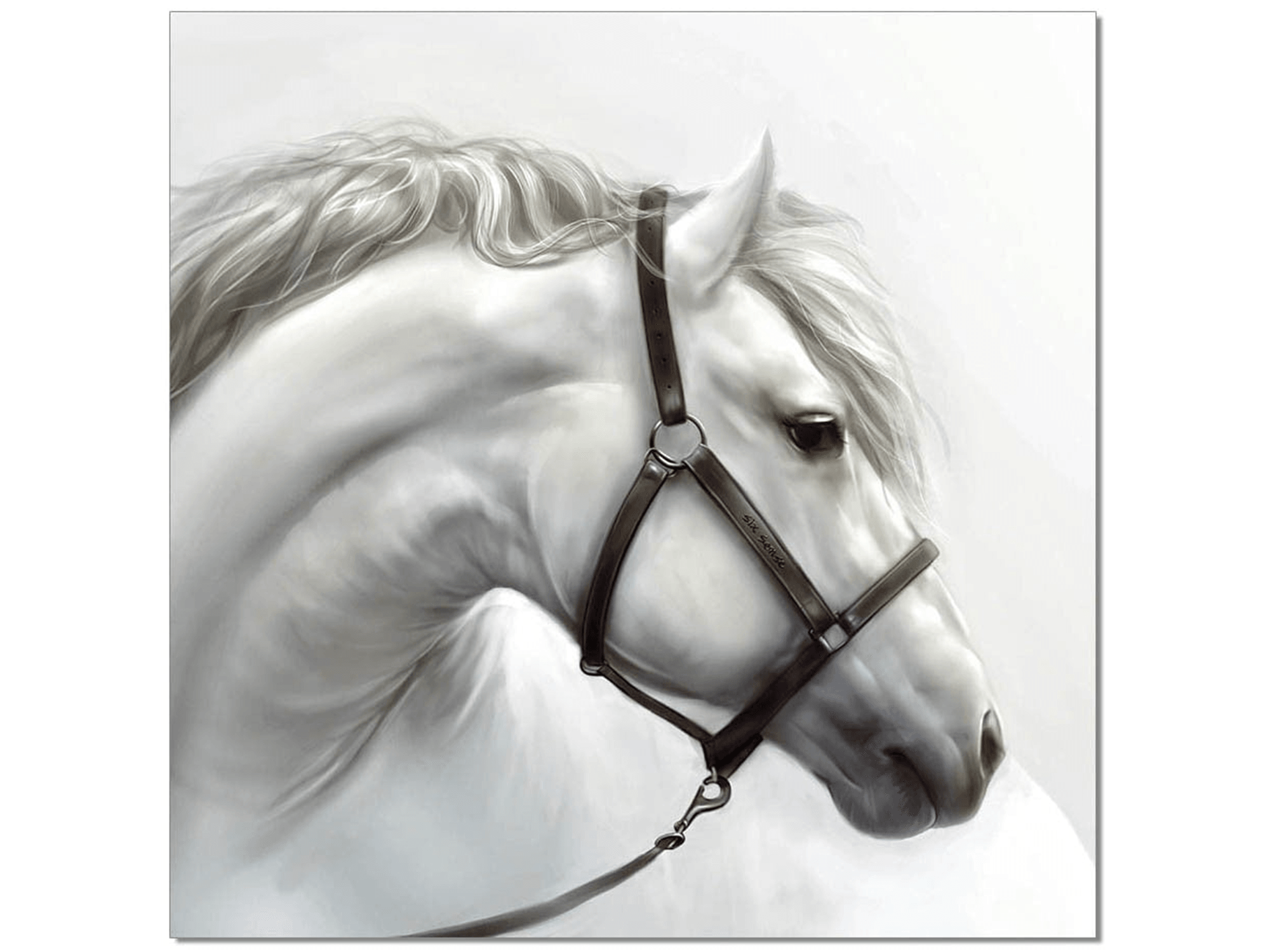 White Horse - Euro Living Furniture