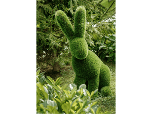 Topiary Sculptures - Euro Living Furniture