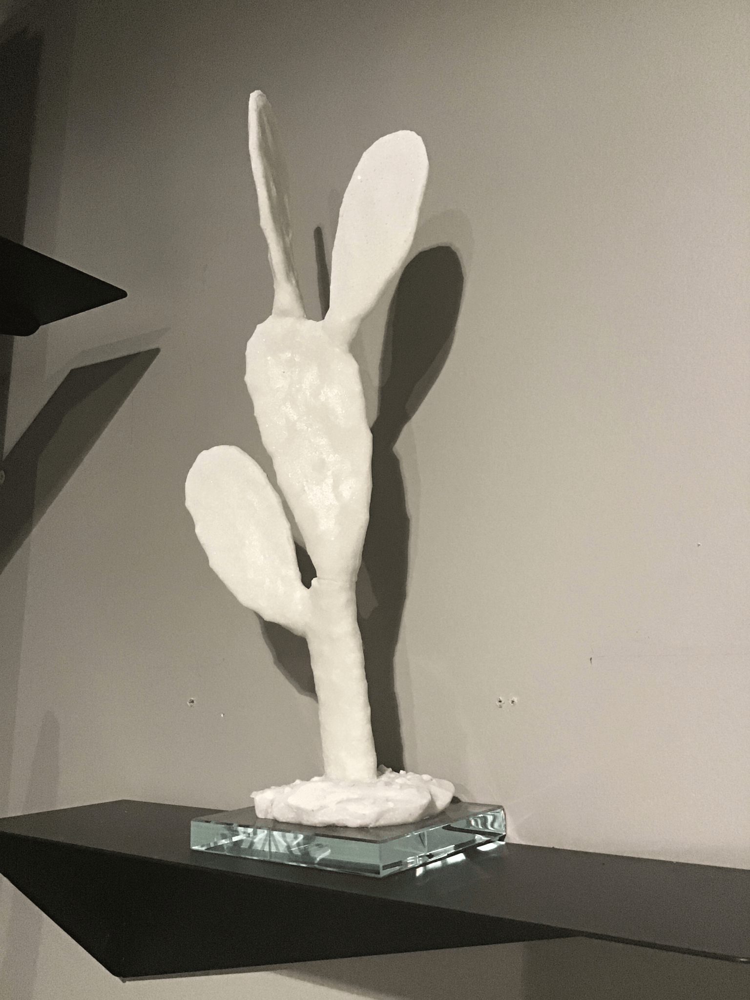 Cactus - Euro Living Furniture