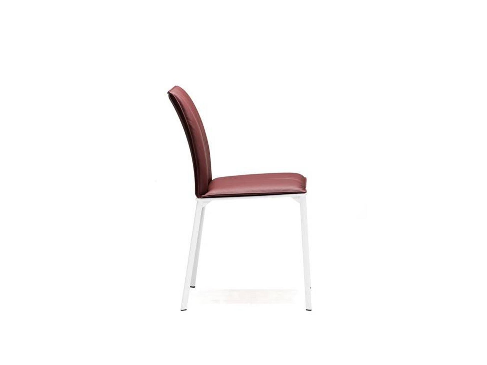 Rita Dining Chair - Euro Living Furniture