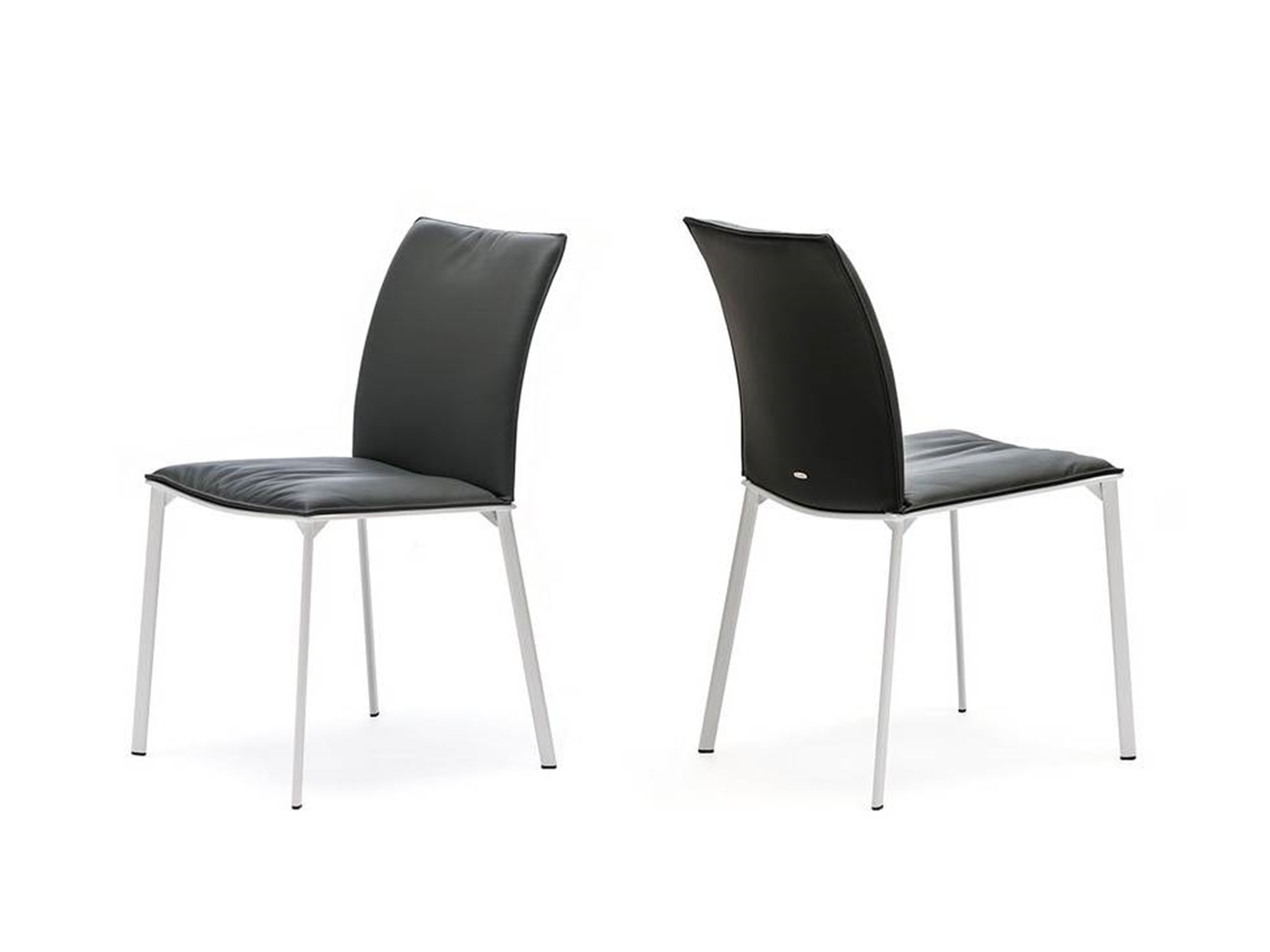 Rita Dining Chair - Euro Living Furniture