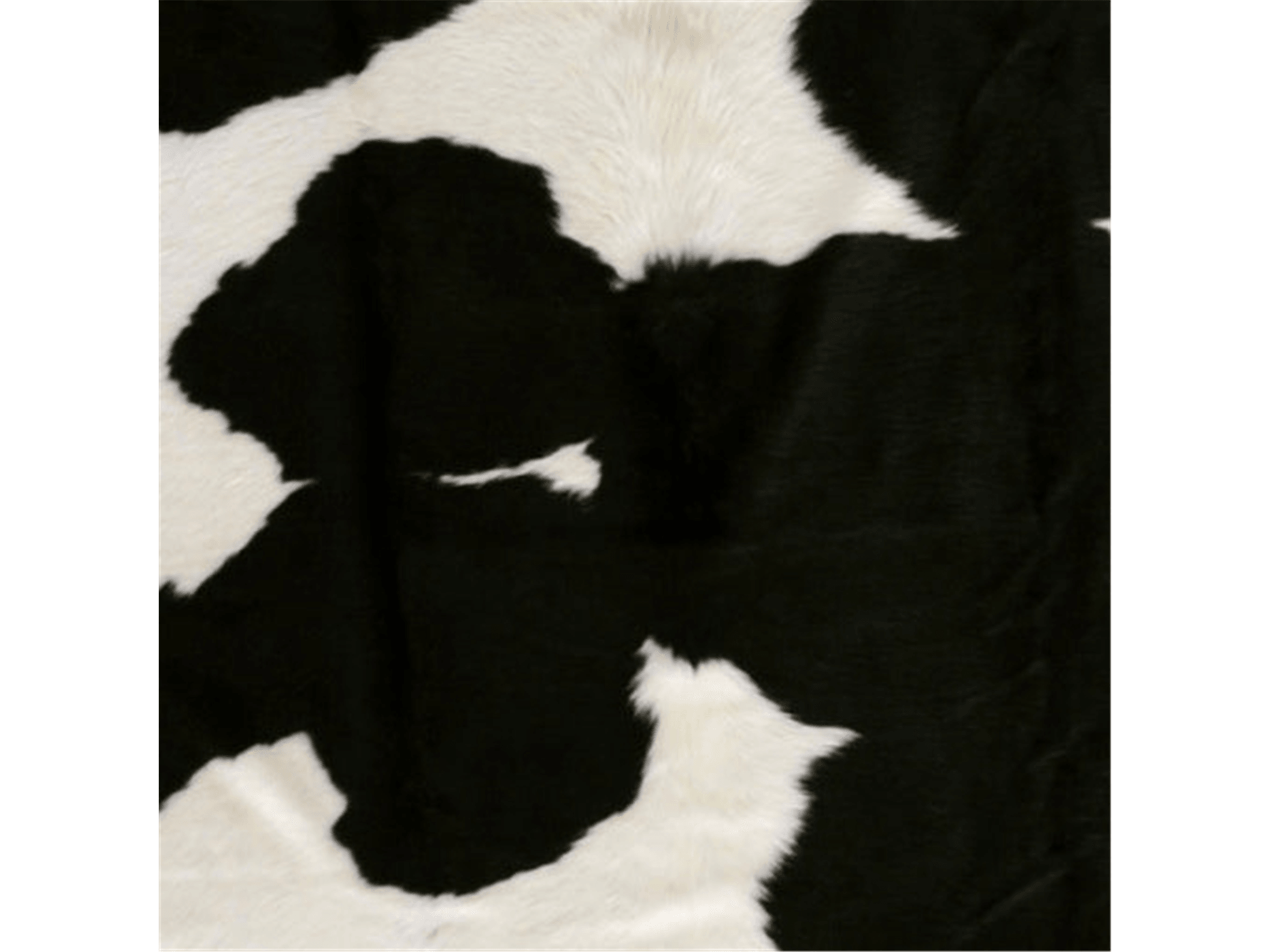 Duke Hide Rug - Euro Living Furniture