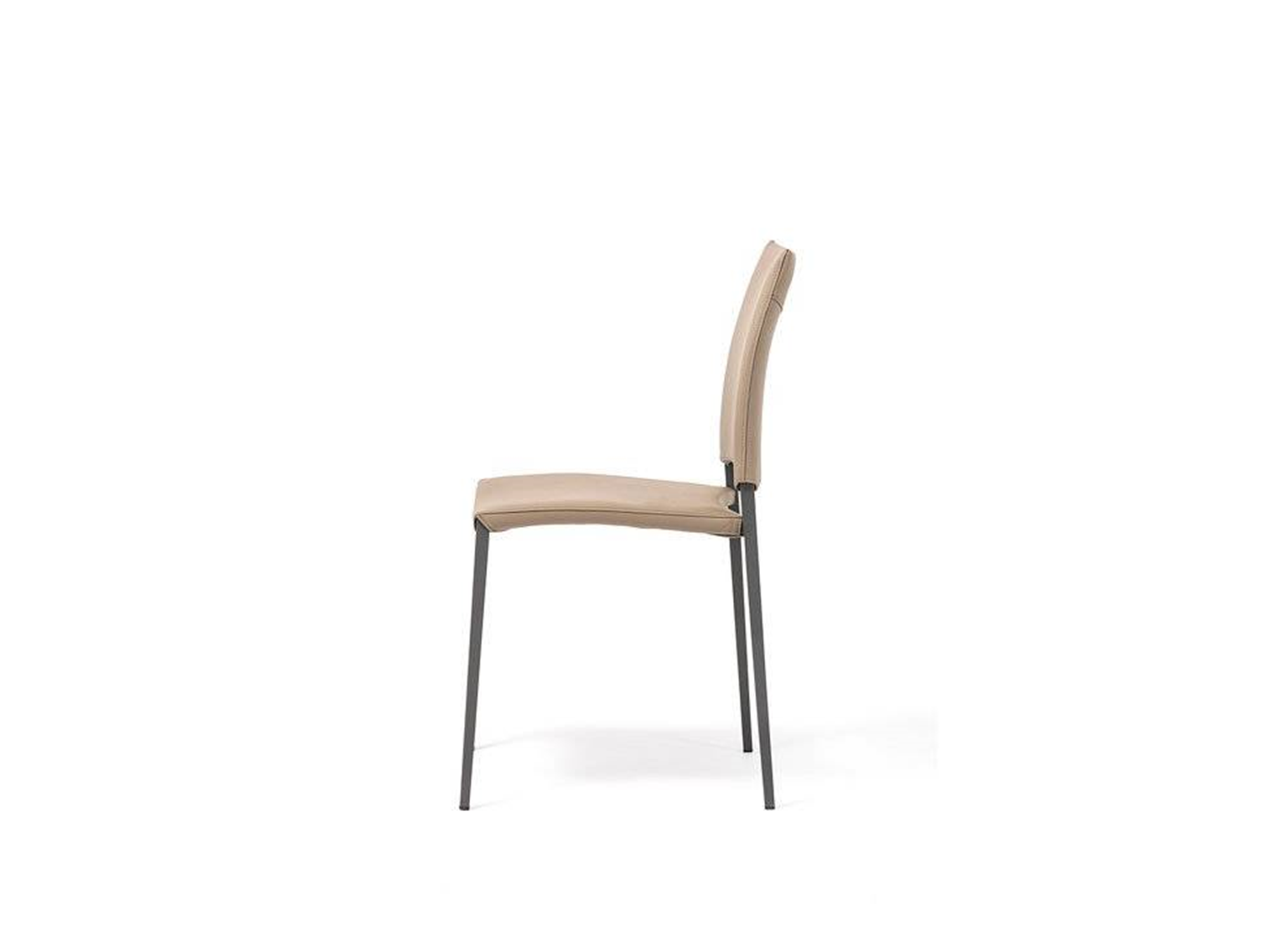 Sally Dining chair - Euro Living Furniture