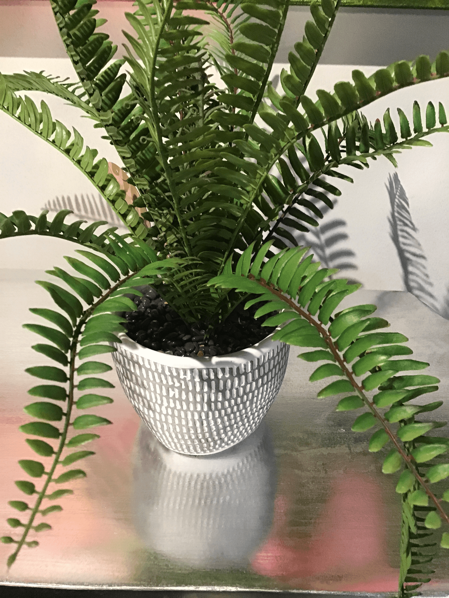 Loto Planter - Euro Living Furniture