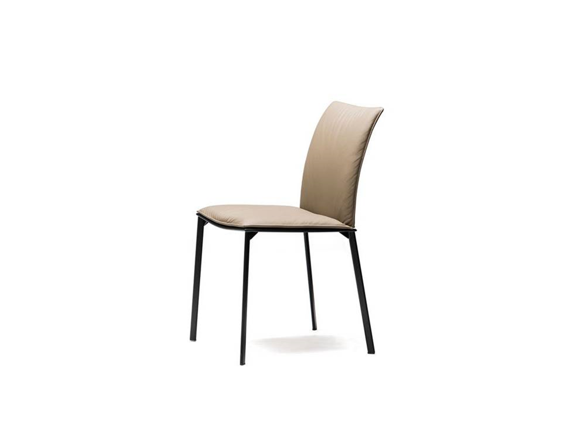Rita Dining Chair - Euro Living Furniture