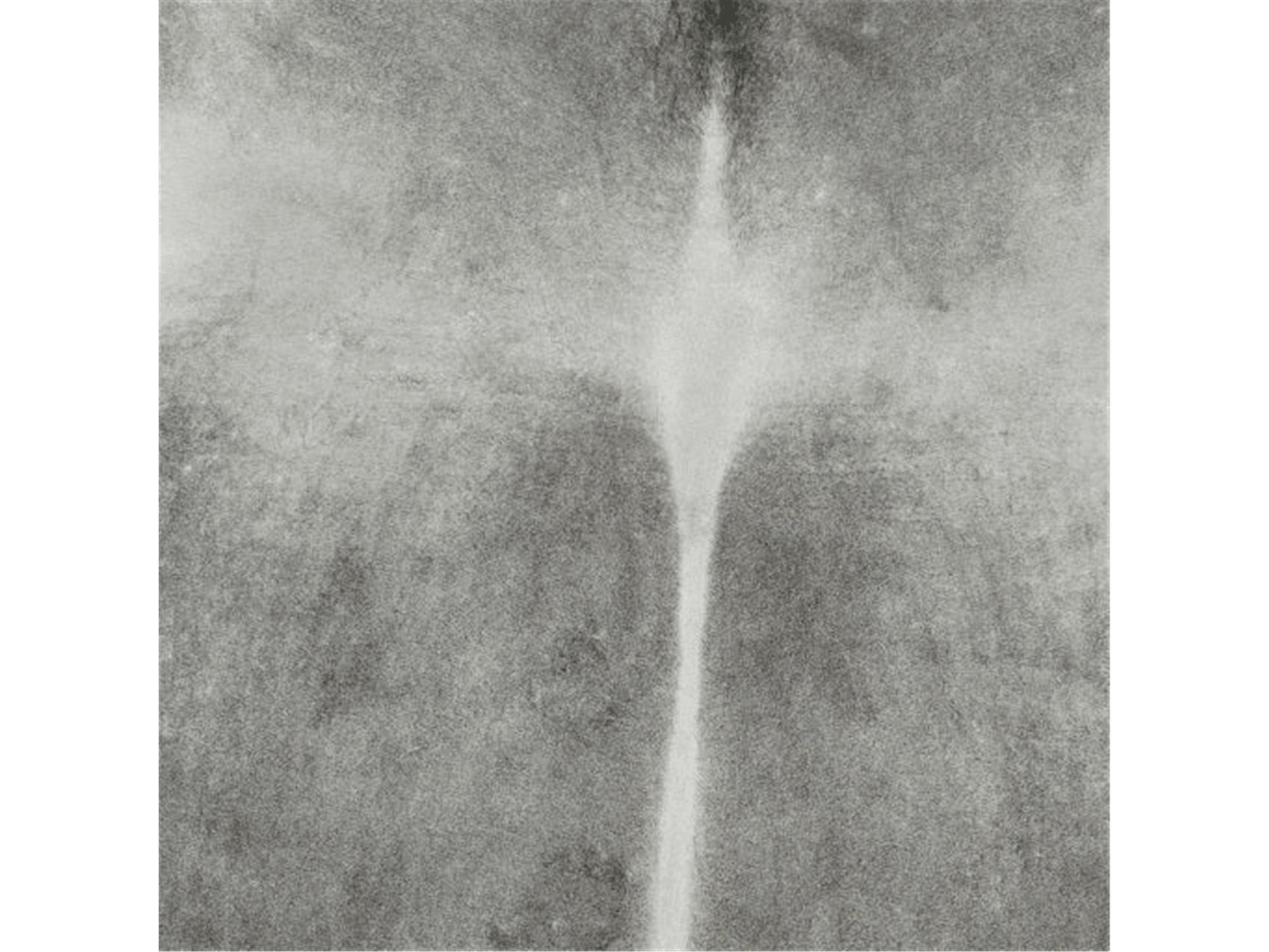 Gina Hide Rug - Euro Living Furniture