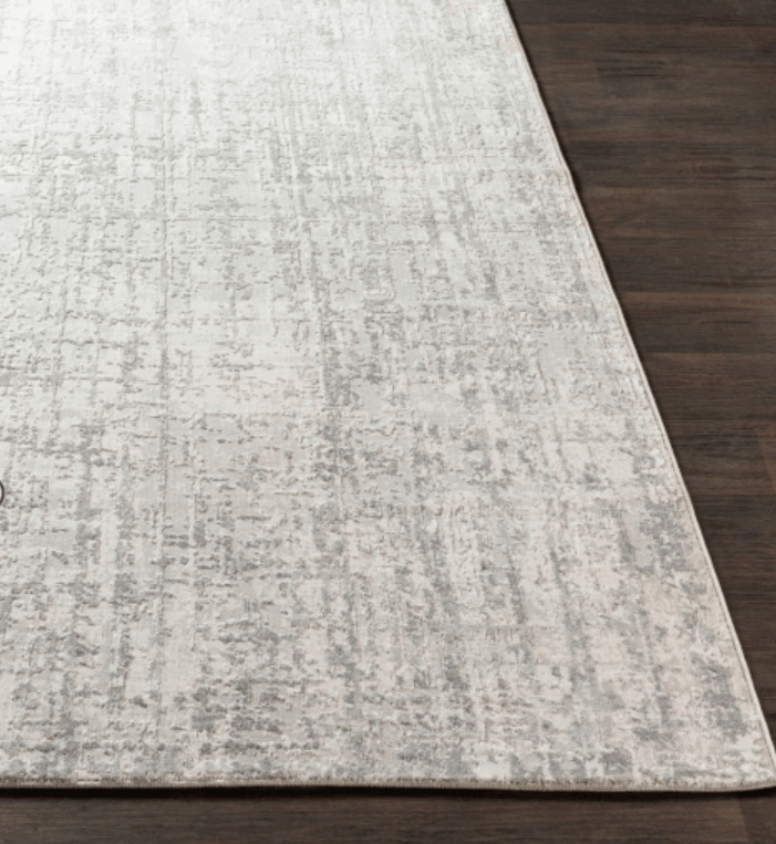Asha Rug - Euro Living Furniture